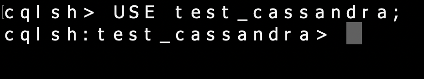 Cassandra Cluster